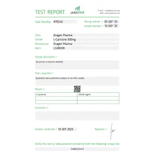 L-Carnitine 500 - Image 3